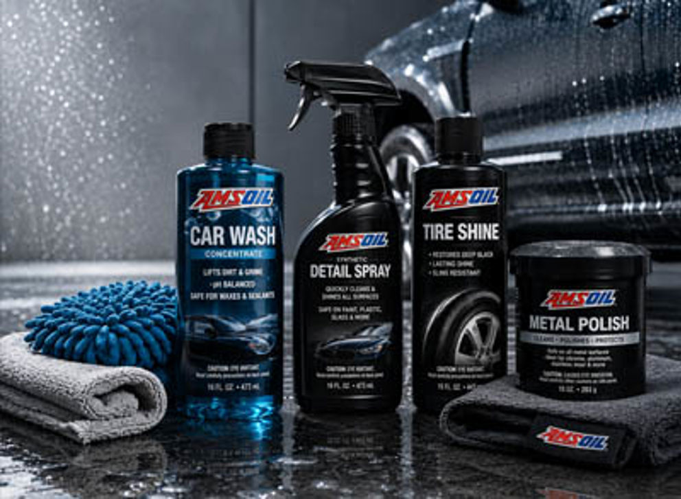 Cat_car care.jpg